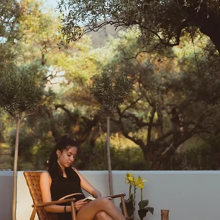 Essentia Comfy דירה לימנאס