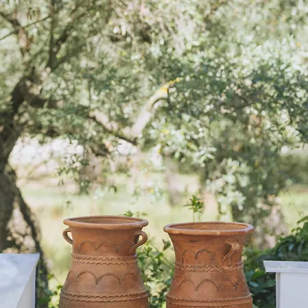 דירה Essentia Comfy לימנאס