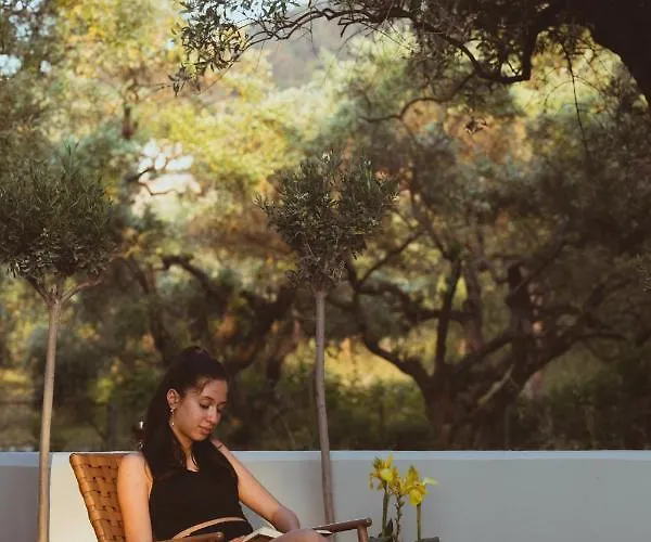 Essentia Comfy Daire Limenas (Thasos)