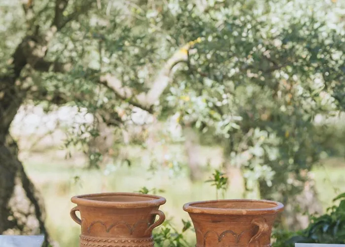 Daire Essentia Comfy Limenas (Thasos)