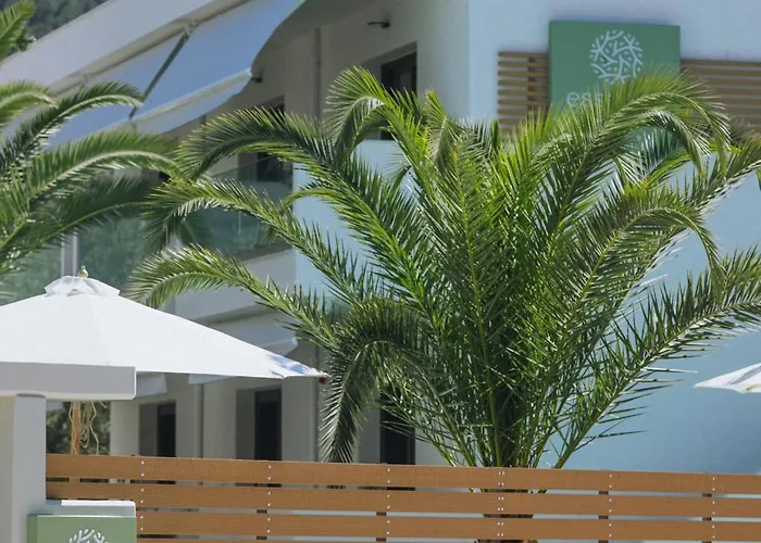 Daire Essentia Comfy